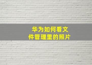 华为如何看文件管理里的照片