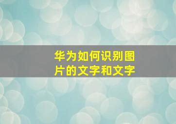 华为如何识别图片的文字和文字