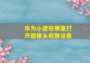 华为小度在哪里打开摄像头权限设置