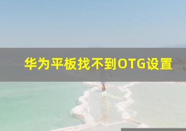 华为平板找不到OTG设置