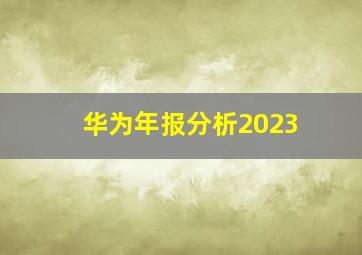 华为年报分析2023