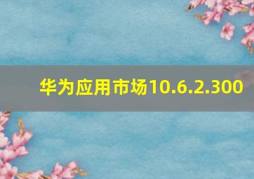 华为应用市场10.6.2.300