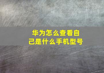 华为怎么查看自己是什么手机型号