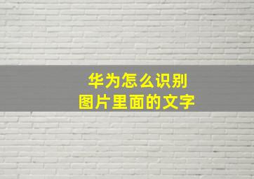 华为怎么识别图片里面的文字