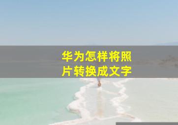 华为怎样将照片转换成文字