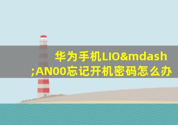 华为手机LIO—AN00忘记开机密码怎么办