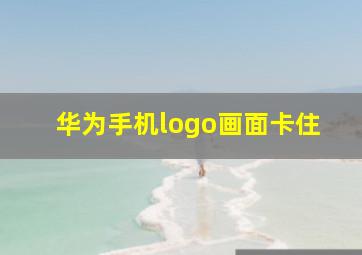 华为手机logo画面卡住