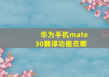 华为手机mate30翻译功能在哪