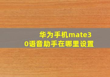 华为手机mate30语音助手在哪里设置