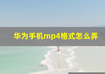 华为手机mp4格式怎么弄