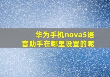 华为手机nova5语音助手在哪里设置的呢