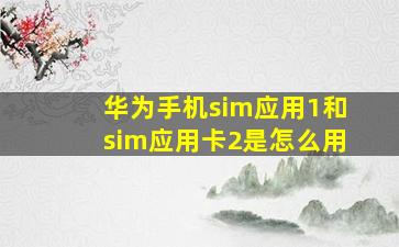 华为手机sim应用1和sim应用卡2是怎么用