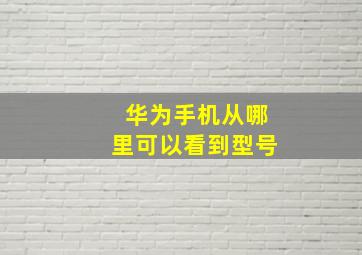 华为手机从哪里可以看到型号