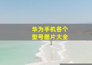 华为手机各个型号图片大全