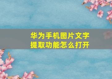 华为手机图片文字提取功能怎么打开