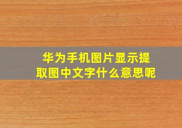 华为手机图片显示提取图中文字什么意思呢