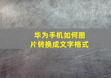 华为手机如何图片转换成文字格式