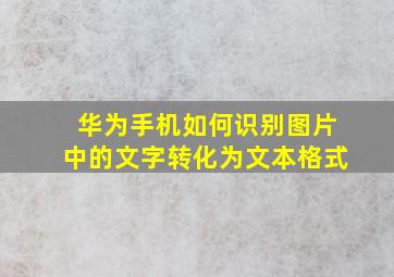 华为手机如何识别图片中的文字转化为文本格式