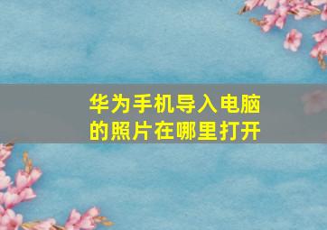 华为手机导入电脑的照片在哪里打开