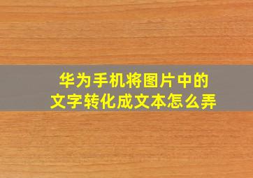 华为手机将图片中的文字转化成文本怎么弄