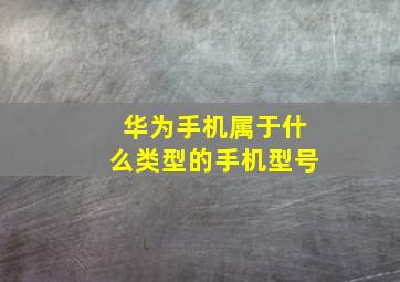 华为手机属于什么类型的手机型号