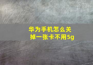 华为手机怎么关掉一张卡不用5g