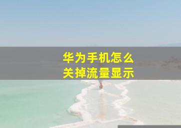 华为手机怎么关掉流量显示