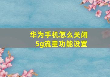 华为手机怎么关闭5g流量功能设置