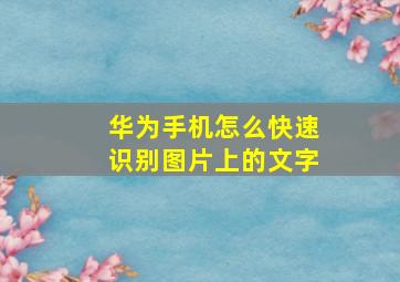 华为手机怎么快速识别图片上的文字