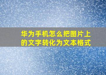 华为手机怎么把图片上的文字转化为文本格式