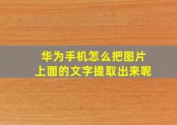 华为手机怎么把图片上面的文字提取出来呢