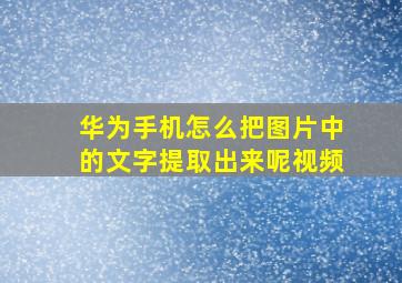 华为手机怎么把图片中的文字提取出来呢视频