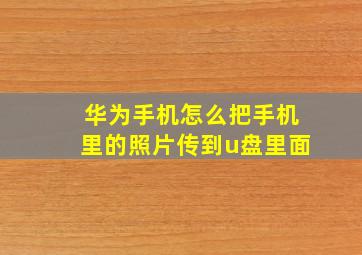 华为手机怎么把手机里的照片传到u盘里面