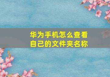 华为手机怎么查看自己的文件夹名称