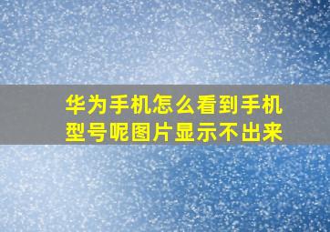 华为手机怎么看到手机型号呢图片显示不出来