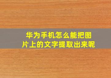 华为手机怎么能把图片上的文字提取出来呢