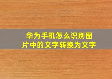 华为手机怎么识别图片中的文字转换为文字