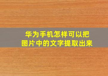 华为手机怎样可以把图片中的文字提取出来