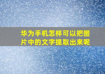 华为手机怎样可以把图片中的文字提取出来呢