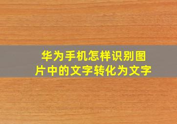 华为手机怎样识别图片中的文字转化为文字