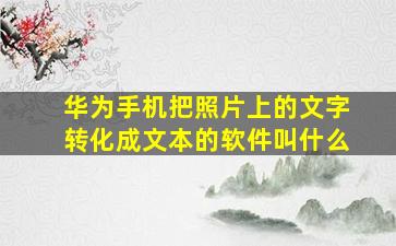 华为手机把照片上的文字转化成文本的软件叫什么