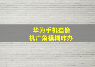 华为手机摄像机广角模糊咋办