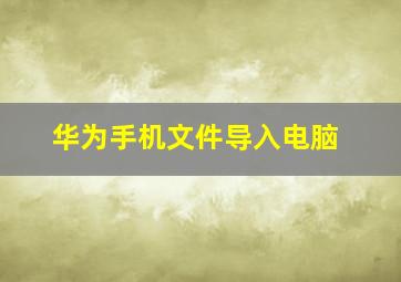 华为手机文件导入电脑