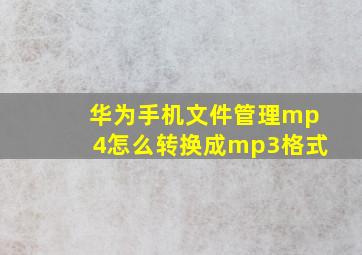 华为手机文件管理mp4怎么转换成mp3格式