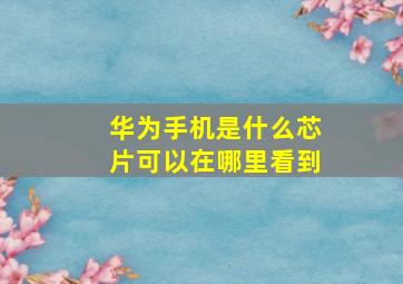 华为手机是什么芯片可以在哪里看到