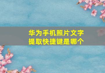 华为手机照片文字提取快捷键是哪个