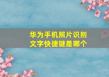 华为手机照片识别文字快捷键是哪个