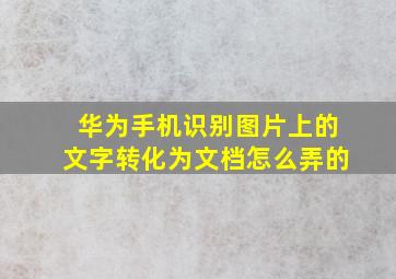 华为手机识别图片上的文字转化为文档怎么弄的