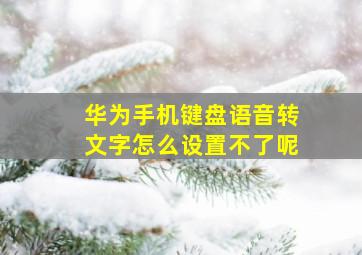 华为手机键盘语音转文字怎么设置不了呢