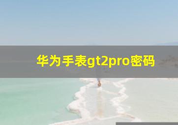 华为手表gt2pro密码